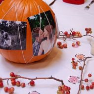 picture pumpkins