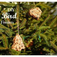 birdfeeders7