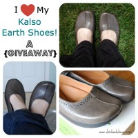 earthshoes2