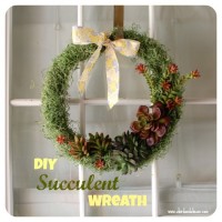 succulent-wreath7