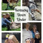 Kentucky Down Under Adventure Zoo