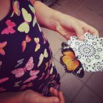 The Butterflies are Back at the Krohn Conservatory {Giveaway}