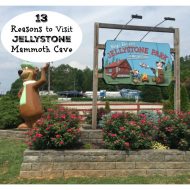 13 Reasons to Stay at Mammoth Cave Jellystone Park Resort