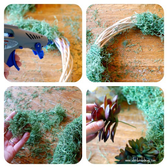 succulent-wreath2