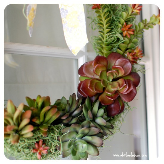 succulent-wreath6