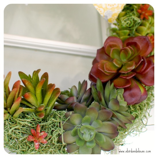 succulent-wreath8