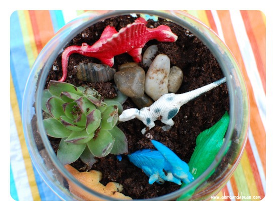 toyarium6