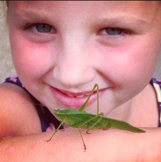 bug