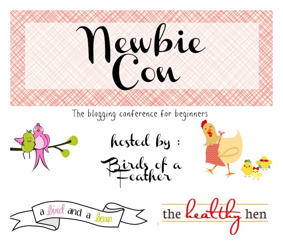 newbiecon1