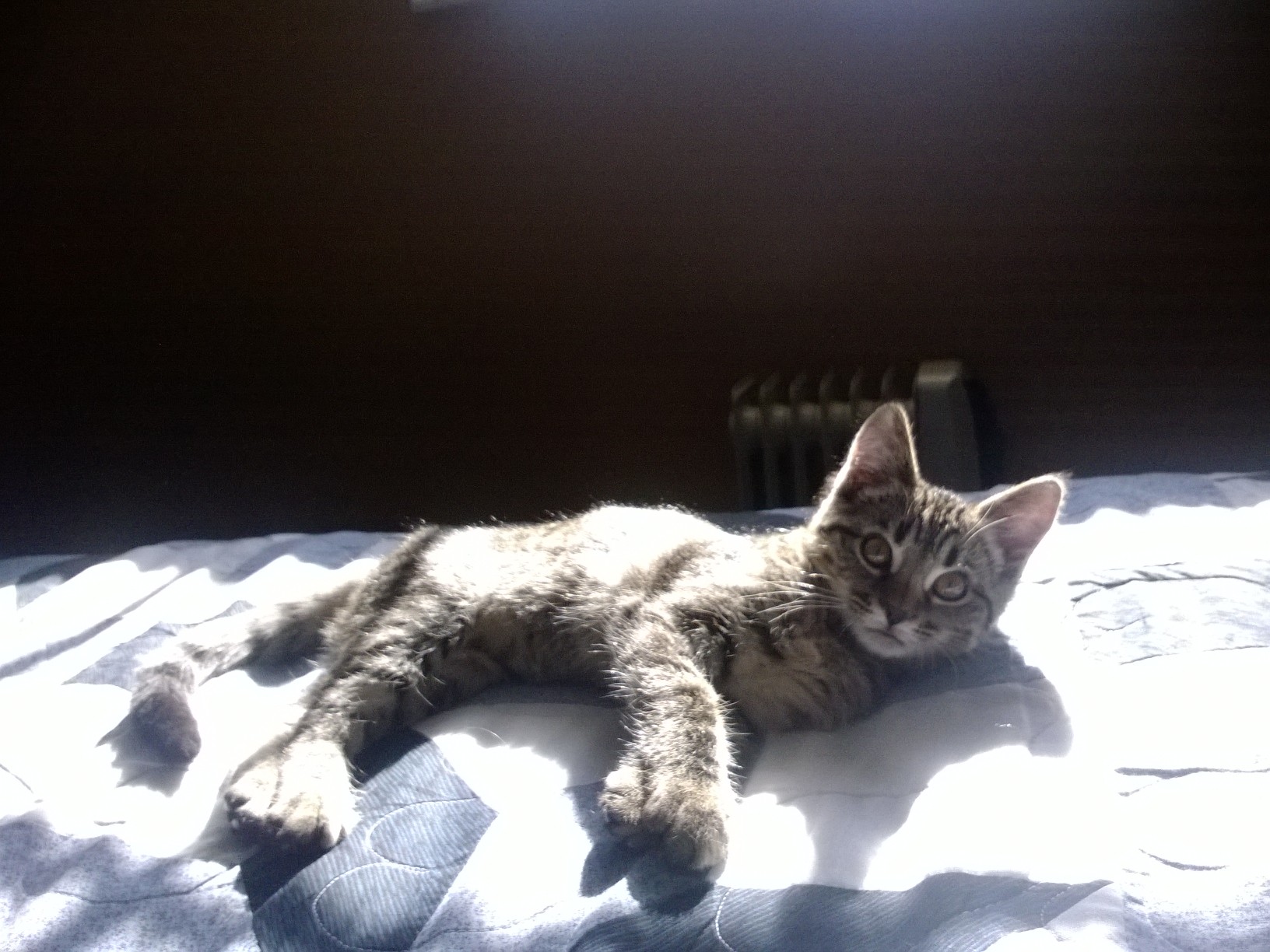 WP_20140207_003