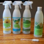 Spring Cleaning {GIVEAWAY}