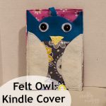 Felt Owl Cover for the Kindle
