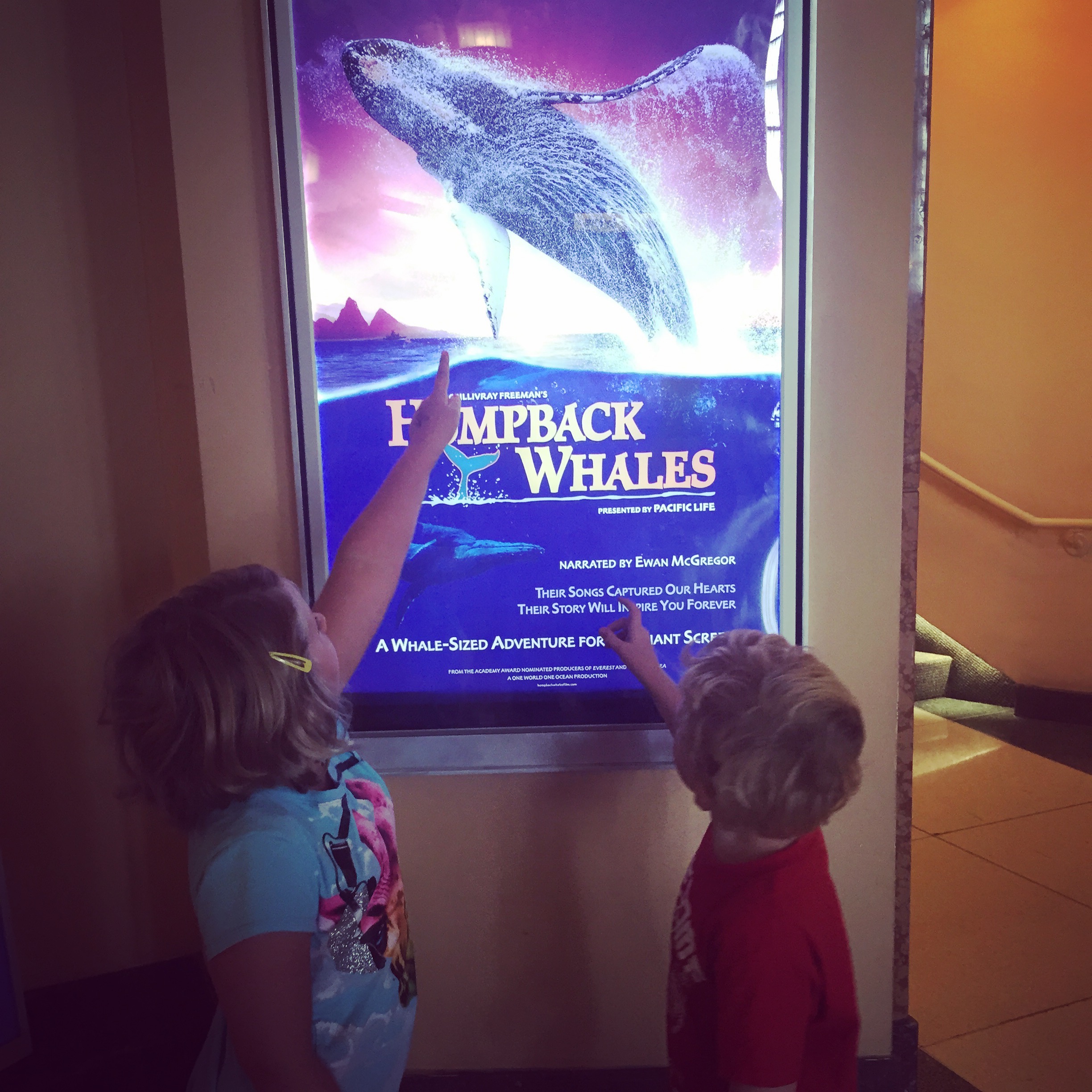 whale13