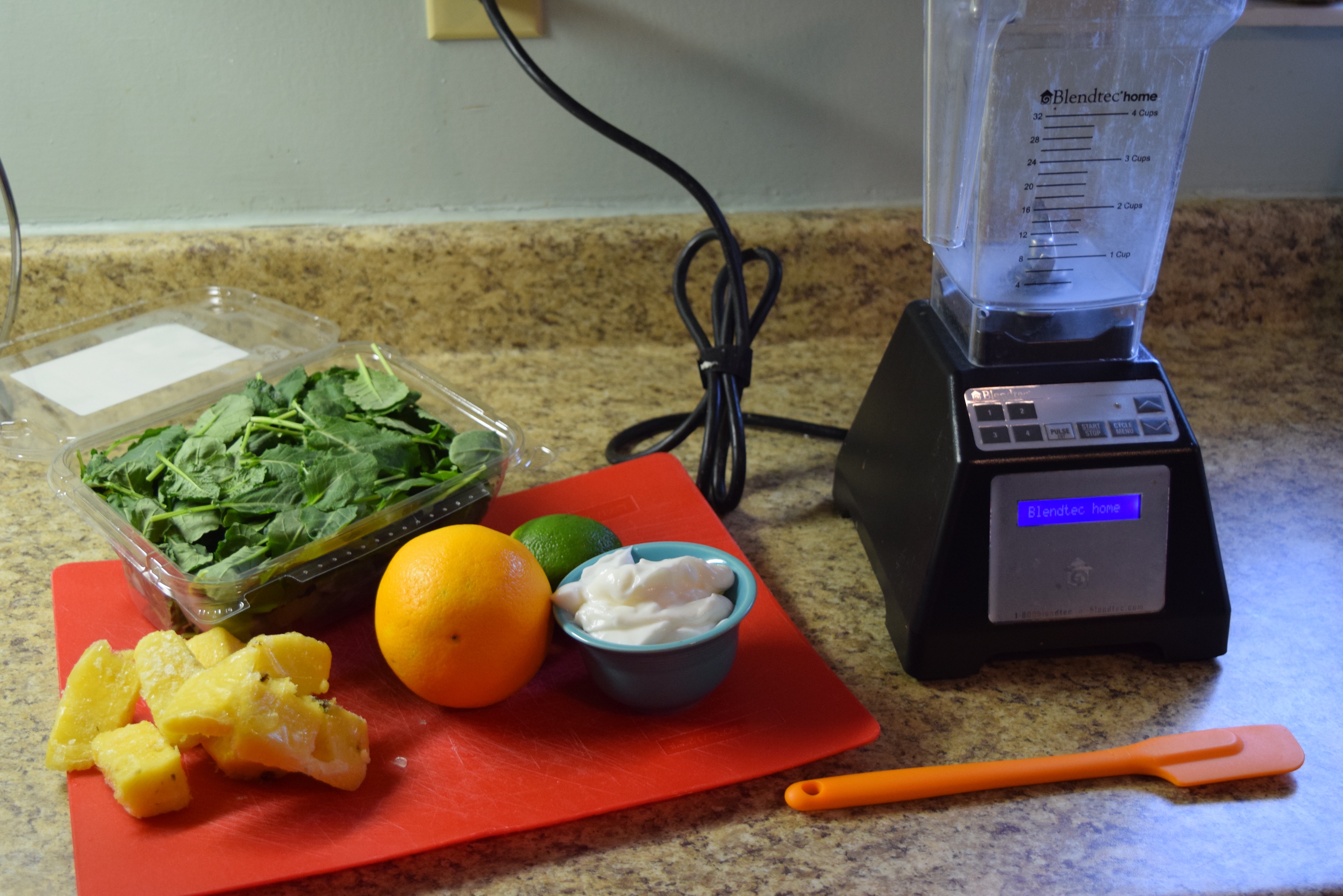 blendtec1