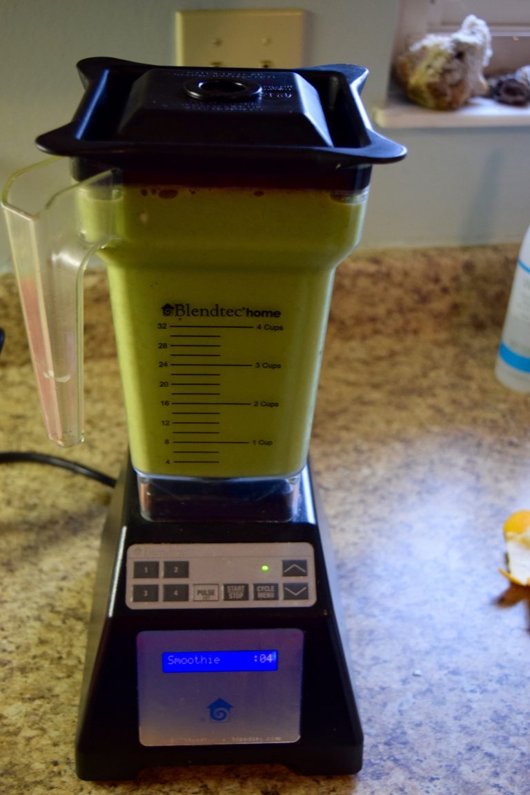 Why I Love My Blendtec Blender A Bird and a Bean