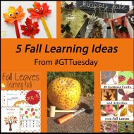 5 Learning Ideas for Fall
