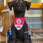 Superpower Dogs at the Cincy Museum Center