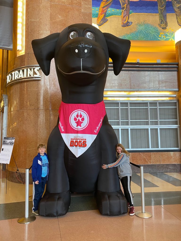 Superpower Dogs at the Cincy Museum Center